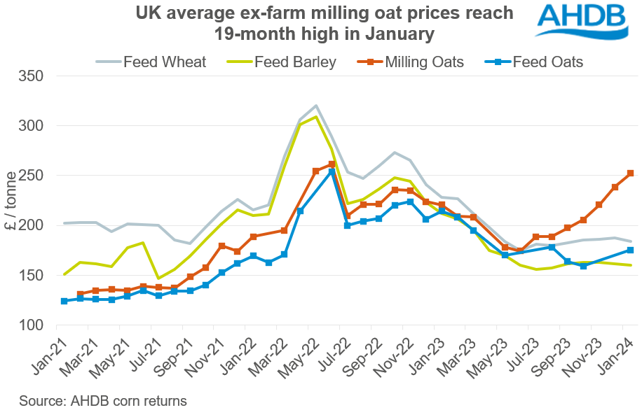 Graph showing ex-farm milling and feed oats against other feed grains 01 02 2024